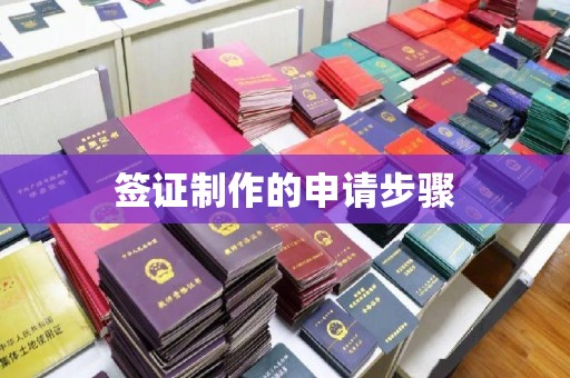 七台河签证制作的申请步骤